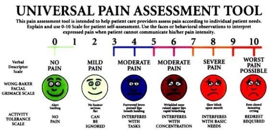 Universal Pain Assessment Scale