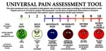 The Universal Pain Assessment&nbsp;Scale